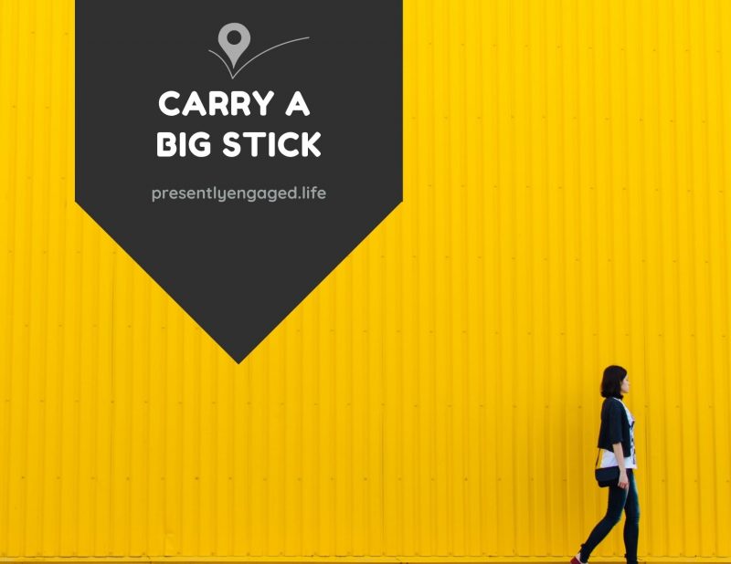Carry A Big Stick Presently Engaged 